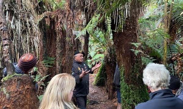 马来西亚双威大学商学院热门项目：商科学生必读专业推荐