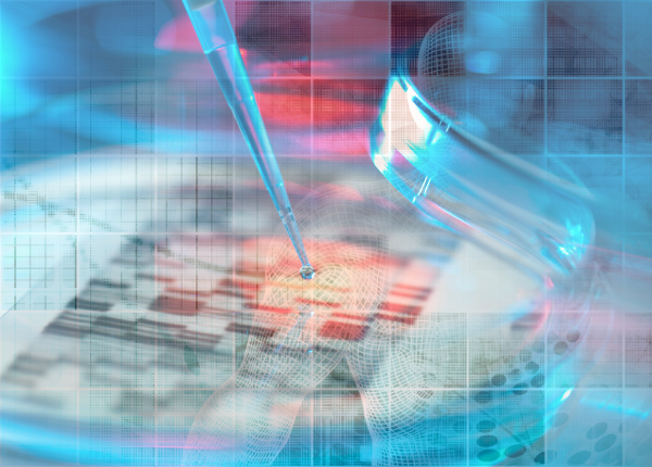 申请必看！马来西亚双威大学奖学金申请全攻略，助力留学梦想